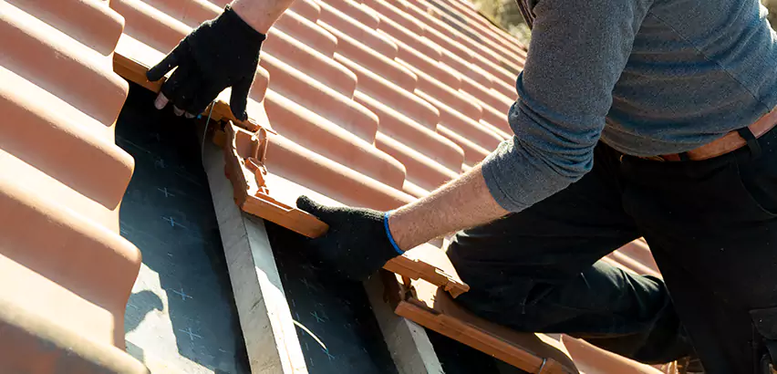 Professional Tile Roof Restoration Services in Carlsbad, CA